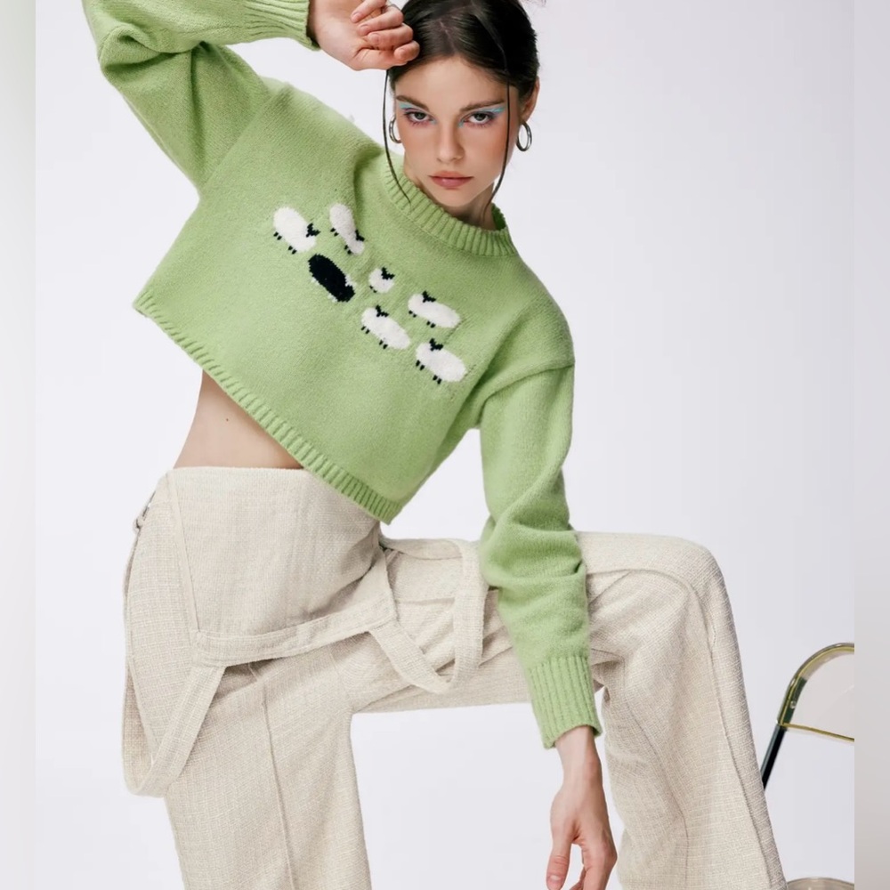 Cider Women’s Green Sweater White Sheep Black Sheep Detail Cropped size Large